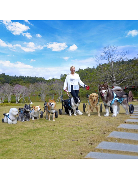 Silla de Ruedas para Perros Pequeños Celestaura Ajustable