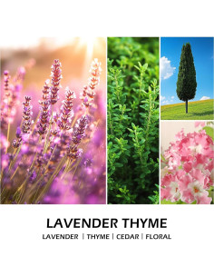 Vela Aromática Molensun 198 g Tomillo y Lavanda - Cera de Soja 2