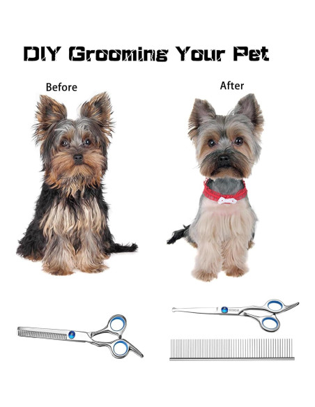 Kit de Tijeras para Perros SCEDREAM 3 en 1 Acero Inoxidable