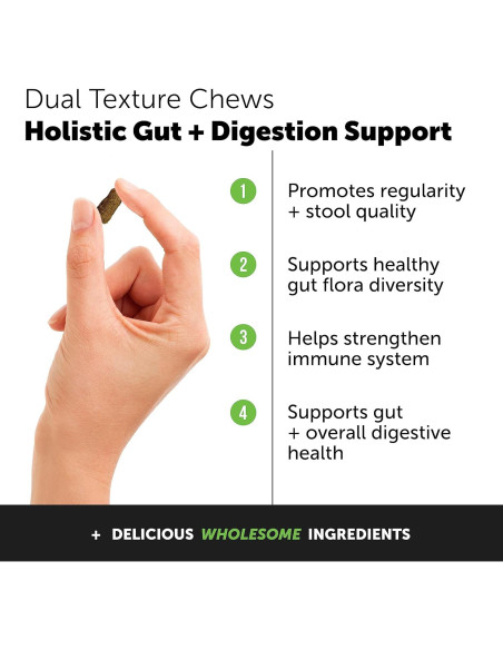 Probioticos para Gatos Pet Honesty 30 Días - Salud Digestiva e Inmunidad