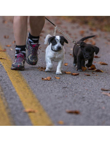 Correa Doble para Perros PETTOM XS 2.5mm 40cm Alta Resistencia