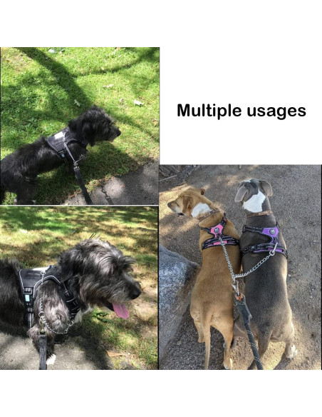 Correa Doble para Perros PETTOM XS 2.5mm 40cm Alta Resistencia