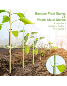 Estacas de Bambú para Jardinería 45.72 cm - 40 PCS 2