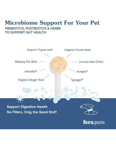 Suplemento Digestivo Fera Pets Postbioticos Plus 120 Cucharadas