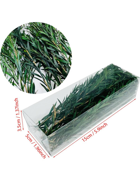 Cayway Arbustos en Miniatura Ecológicos 2 Piezas Verde y Rojo