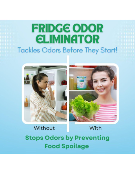 Desodorante de Refrigerador Polar Fresh - Eliminador de Olores y Control de Humedad 340g