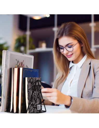 Soporte de Archivos Triangular Goiio de Metal 5 Ranuras Negro