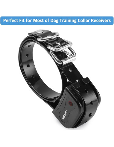 Correa de perro impermeable LuckinPET 1.9 cm x 71.1 cm ajustable