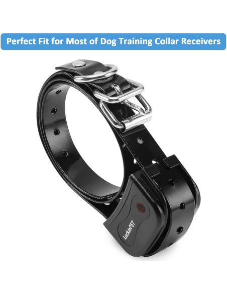 Correa de perro impermeable LuckinPET 1.9 cm x 71.1 cm ajustable