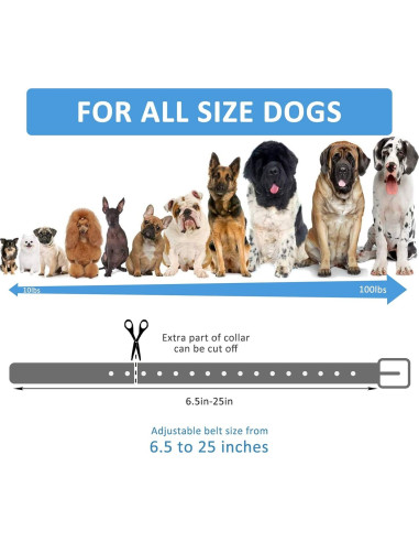 Correa de perro impermeable LuckinPET 1.9 cm x 71.1 cm ajustable