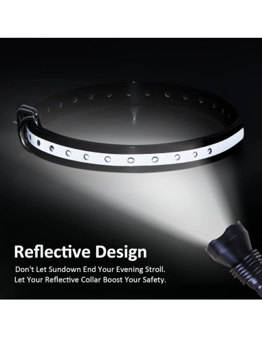 Correa de perro impermeable LuckinPET 1.9 cm x 71.1 cm ajustable