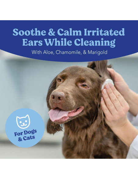 Toallitas Limpiadoras de Oídos Angels' Eyes 100 Unidades