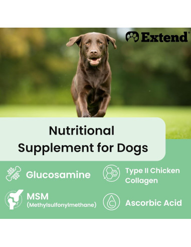 Suplemento Articular Extend para Perros - Glucosamina y MSM