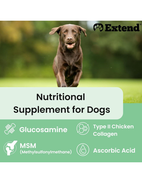 Suplemento Articular Extend para Perros - Glucosamina y MSM