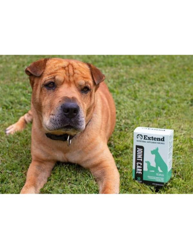 Suplemento Articular Extend para Perros - Glucosamina y MSM