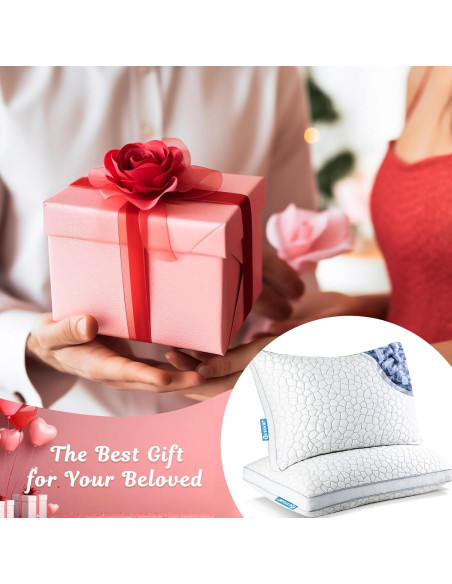 Cojines de Espuma Viscoelástica QUTOOL Tamaño Reina Set de 2