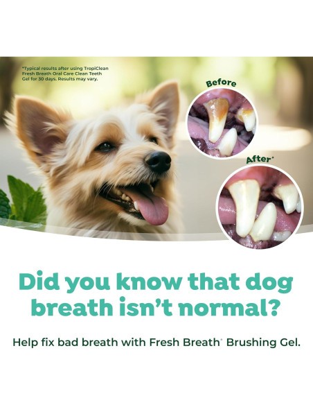 TropiClean Gel Dental para Perros y Gatos 65 g - Cuidado Oral