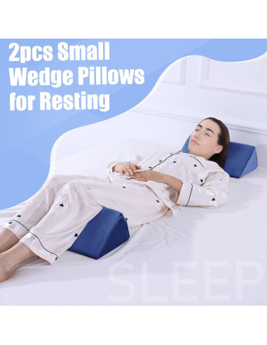 Almohada en Cuña BALAPET 2 Pcs Espuma Premium Azul