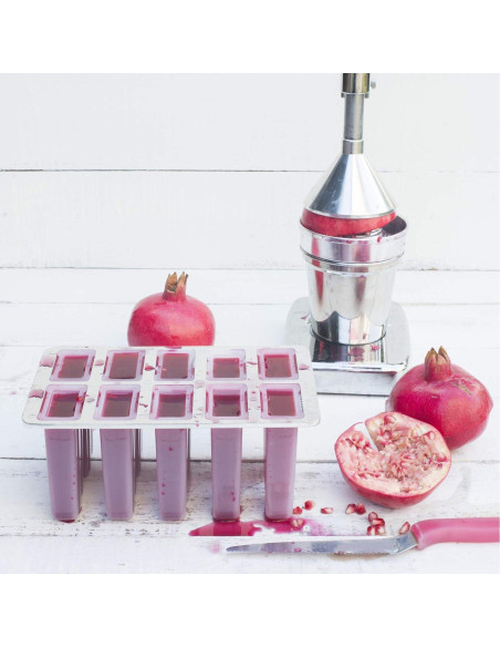 Fabricante de Paletas Congeladas Fox Run 10 Paletas 85g BPA Free