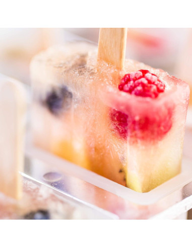 Fabricante de Paletas Congeladas Fox Run 10 Paletas 85g BPA Free