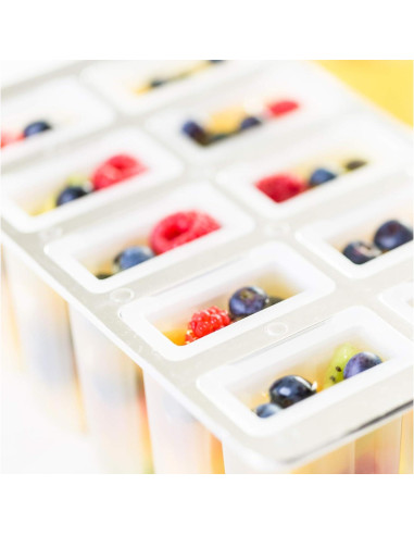 Fabricante de Paletas Congeladas Fox Run 10 Paletas 85g BPA Free