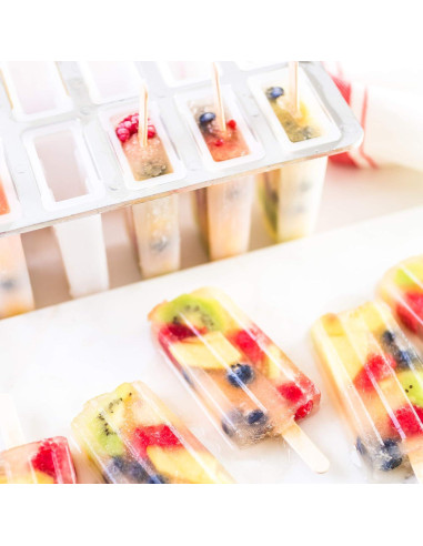 Fabricante de Paletas Congeladas Fox Run 10 Paletas 85g BPA Free