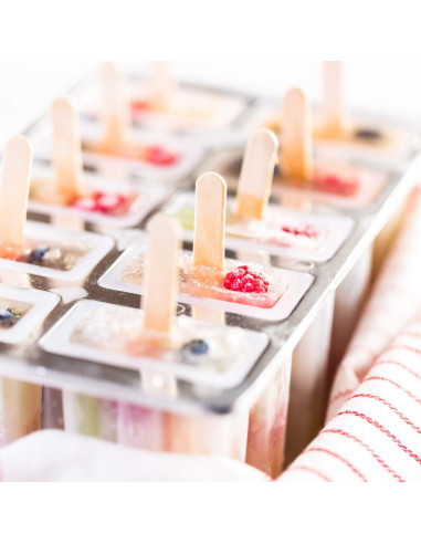 Fabricante de Paletas Congeladas Fox Run 10 Paletas 85g BPA Free