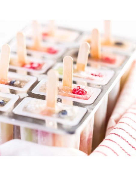 Fabricante de Paletas Congeladas Fox Run 10 Paletas 85g BPA Free