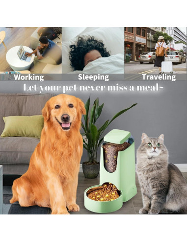 Comedero Automático Hamiledyi 2.8L Acero Inoxidable Verde Claro