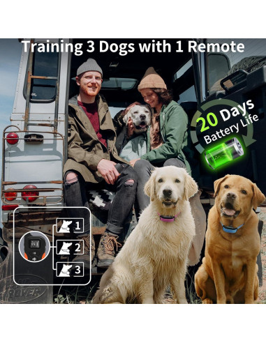 Collar de Entrenamiento PaiPaitek Sin Choque 1000m Impermeable