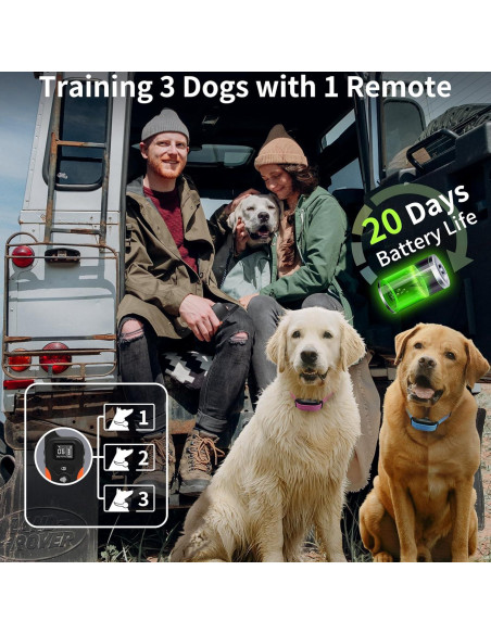 Collar de Entrenamiento PaiPaitek Sin Choque 1000m Impermeable