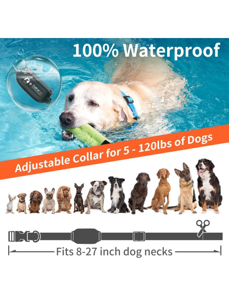 Collar de Entrenamiento PaiPaitek Sin Choque 1000m Impermeable