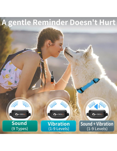 Collar de Entrenamiento PaiPaitek Sin Choque 1000m Impermeable