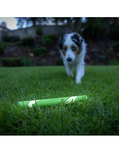 Juguete para Perros Chuckit! Max Glow Ultra Fetch Stick 30cm
