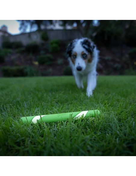 Juguete para Perros Chuckit! Max Glow Ultra Fetch Stick 30cm