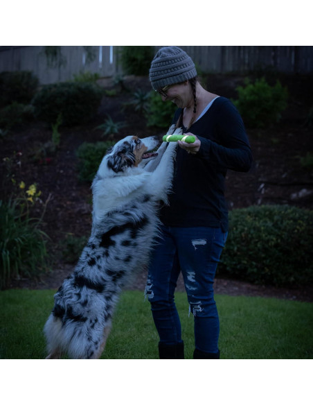 Juguete para Perros Chuckit! Max Glow Ultra Fetch Stick 30cm