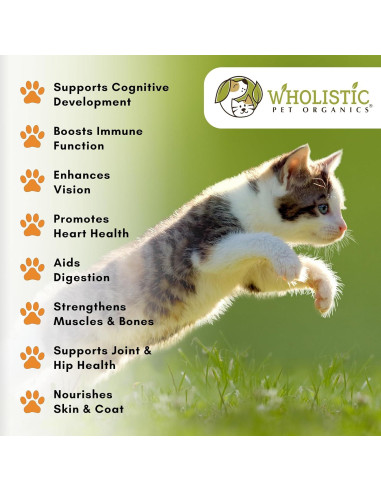 Suplemento Probiotico para Gatos Wholistic 113.4 g Calabaza Orgánica