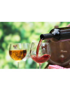 Set de 6 Encantos Magnéticos para Copas Simply Charmed - Perros 2