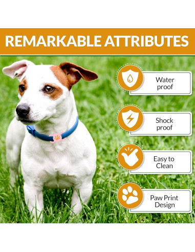 Soporte de Silicona para AirTag Pure NG - Collar de Perro