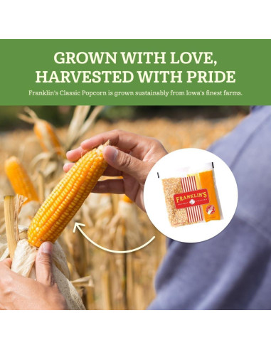 Paquete de Palomitas Gourmet Franklin 10x56.7g Mantequilla