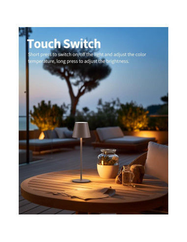 Juego de 2 Lámparas de Mesa LED Recargables 4000mAh Marrón