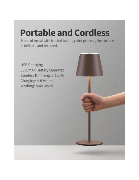 Juego de 2 Lámparas de Mesa LED Recargables 4000mAh Marrón