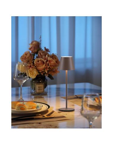 Juego de 2 Lámparas de Mesa LED Recargables 4000mAh Marrón