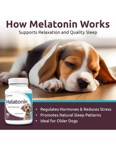 K9 Select Melatonina para Perros Pequeños - 180 Tabletas Masticables de 1 mg