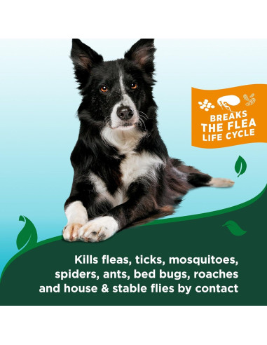 Champú Natural Vet's Best 355 ml para Perros contra Pulgas y Garrapatas