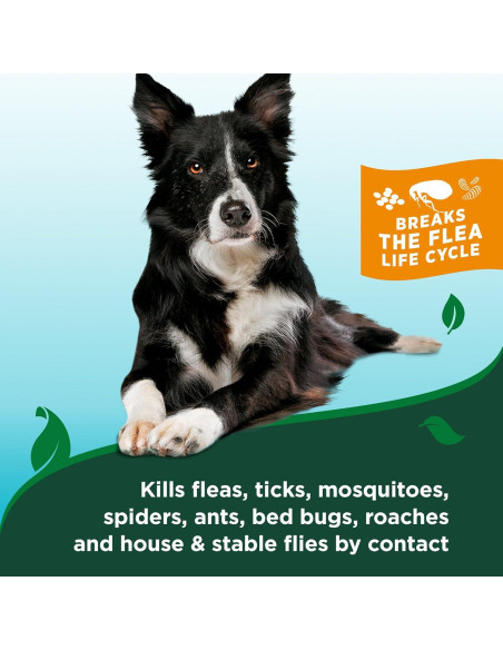 Champú Natural Vet's Best 355 ml para Perros contra Pulgas y Garrapatas