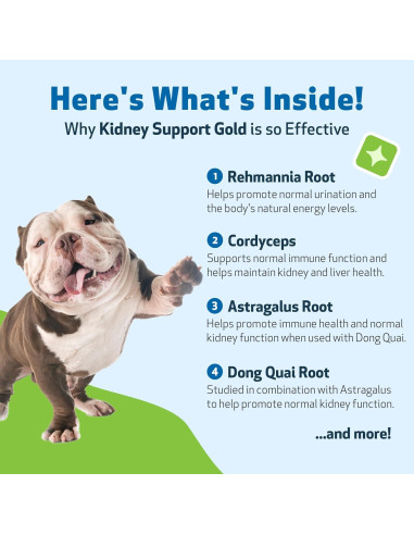 Suplemento Herbal Apoyo Renal Oro Pet Wellbeing 59 ml