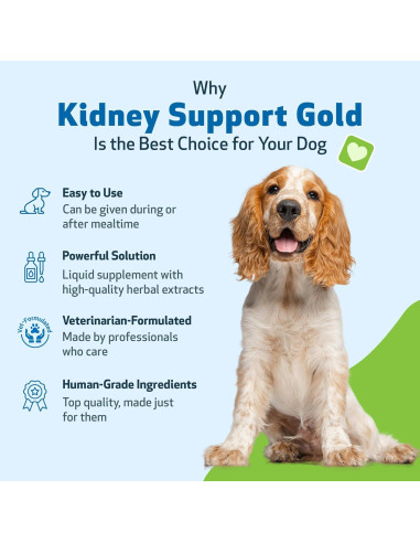 Suplemento Herbal Apoyo Renal Oro Pet Wellbeing 59 ml