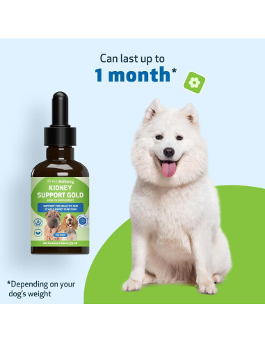 Suplemento Herbal Apoyo Renal Oro Pet Wellbeing 59 ml