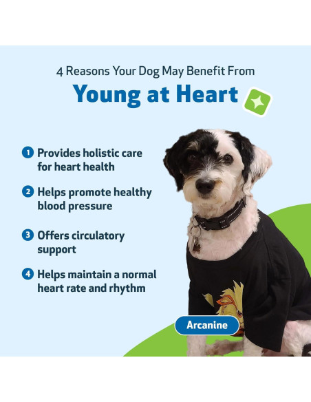 Suplemento Herbal Pet Wellbeing Joven de Corazón para Perros 59 ml